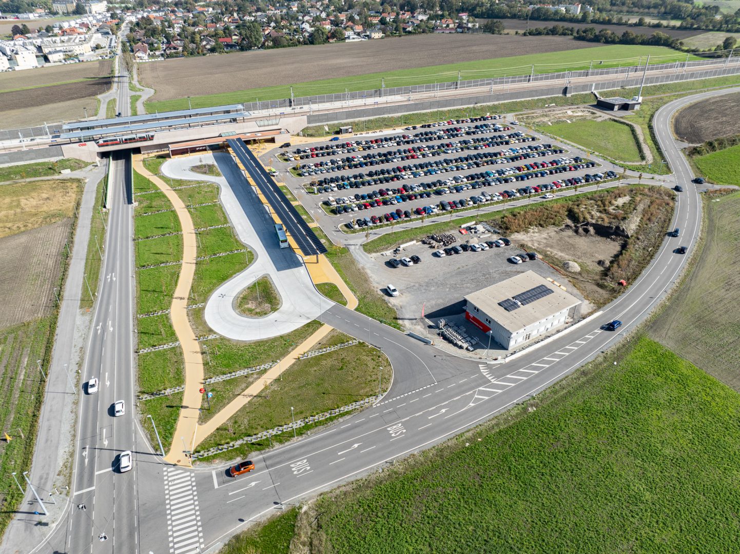 Podonoe_Ebreichsdorf_202410-0517