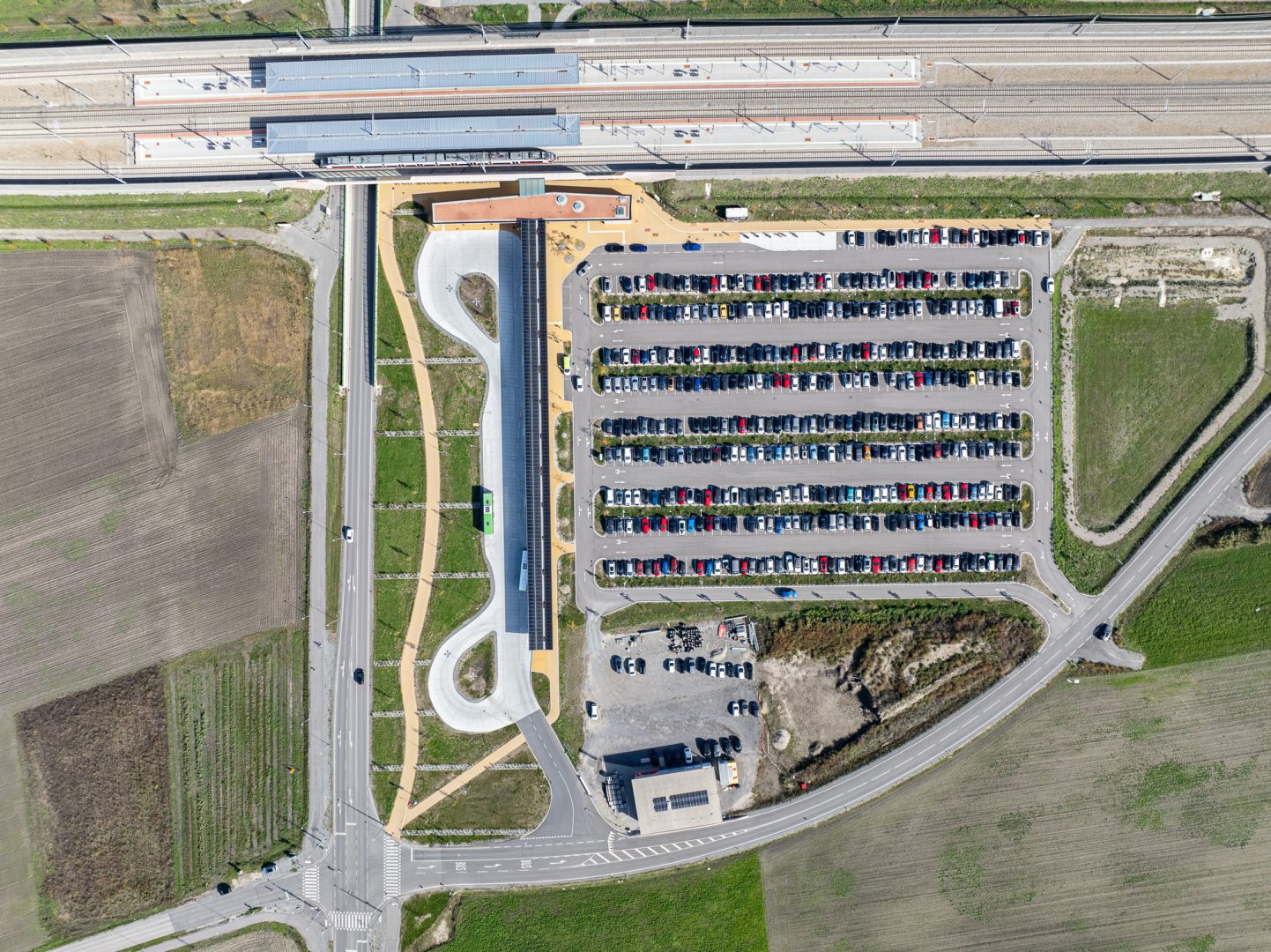 Podonoe_Ebreichsdorf_202410-0524